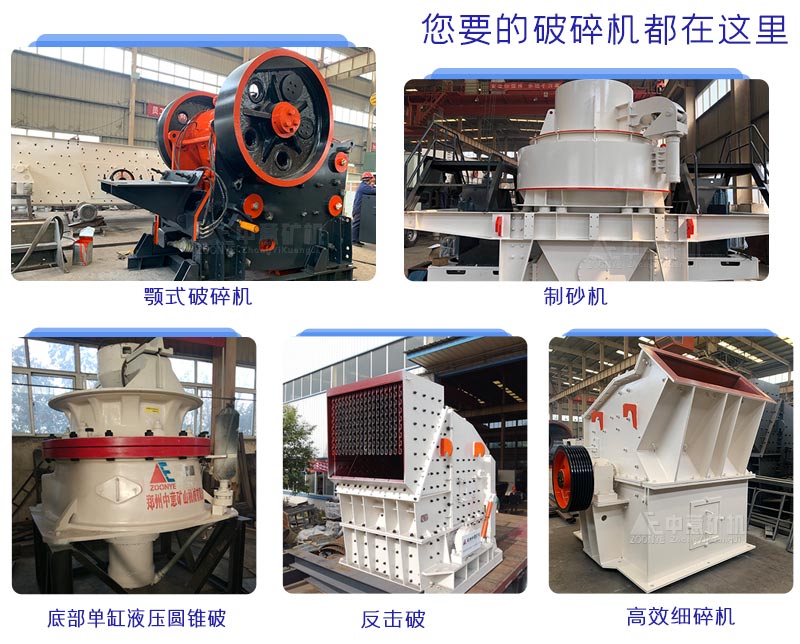 20101408zmzy.jpg 20101408zmzy.jpg